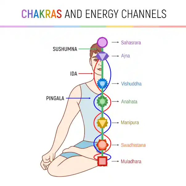 yoga chakras