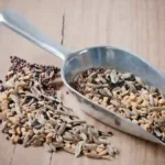whole bengali five spice panch phoron on a wodden counter, with scoop