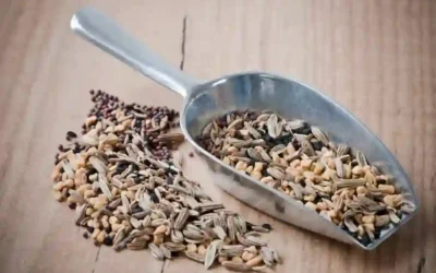 Panch Phoron – Indian 5 Spice To Elevate Any Dish